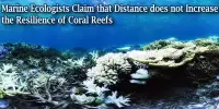 Marine Ecologists Claim that Distance does not Increase the Resilience of Coral Reefs