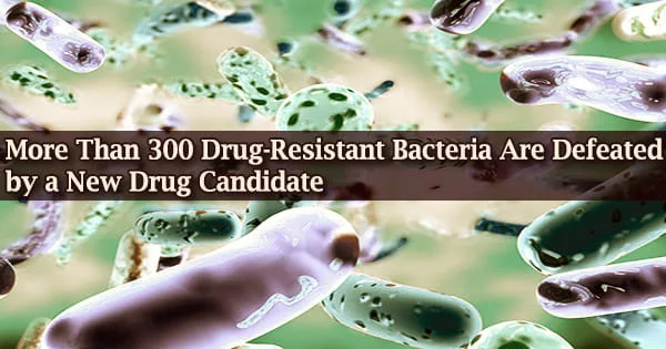 More Than 300 Drug-Resistant Bacteria Are Defeated by a New Drug Candidate
