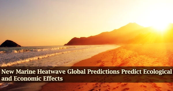 New Marine Heatwave Global Predictions Predict Ecological and Economic Effects