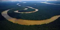 Phosphorus Deficiency Limits Amazon’s Growth