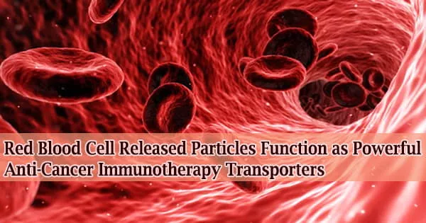 Red Blood Cell Released Particles Function as Powerful Anti-Cancer Immunotherapy Transporters
