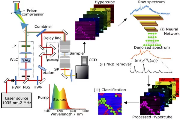 Researchers-Improve-the-Sensitivity-and-Speed-of-Raman-Microscopy-1