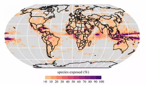 Risks-to-Biodiversity-will-Endure-well-after-the-peak-in-Future-Global-Temperatures-1