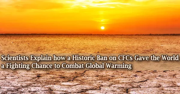 Scientists Explain how a Historic Ban on CFCs Gave the World a Fighting Chance to Combat Global Warming