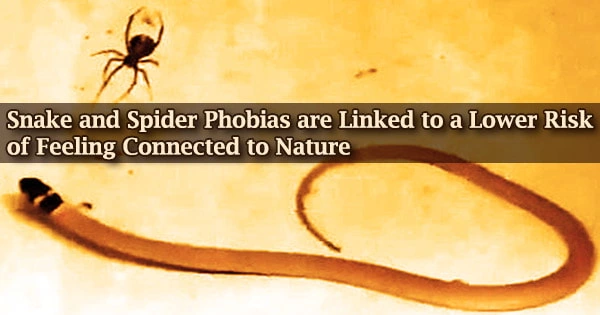 Snake and Spider Phobias are Linked to a Lower Risk of Feeling Connected to Nature