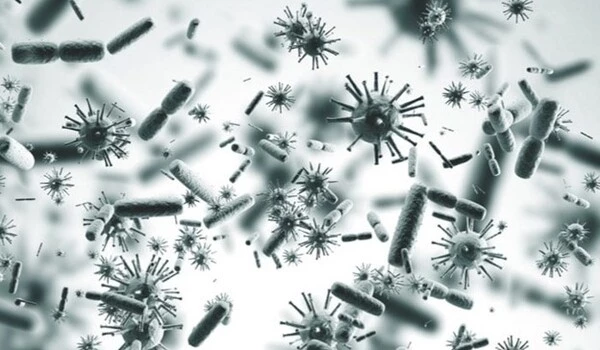 Some-E.-coli-Released-Viral-Grenades-within-nearby-Bacteria-1