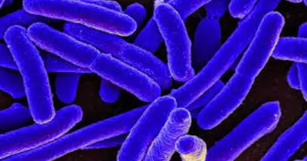 Some E. coli Released Viral Grenades within nearby Bacteria