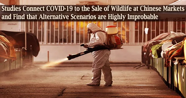 Studies Connect COVID-19 to the Sale of Wildlife at Chinese Markets and Find that Alternative Scenarios are Highly Improbable