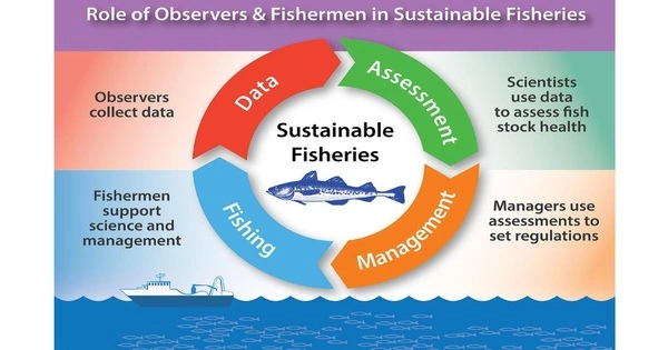 Sustainable Fishery