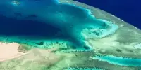 The Discovery of Rare Deep-sea Brine Pools in the Red Sea