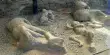 The Explosive History of the 2,000-Year-Old Pompeii ‘Masturbating’ Man