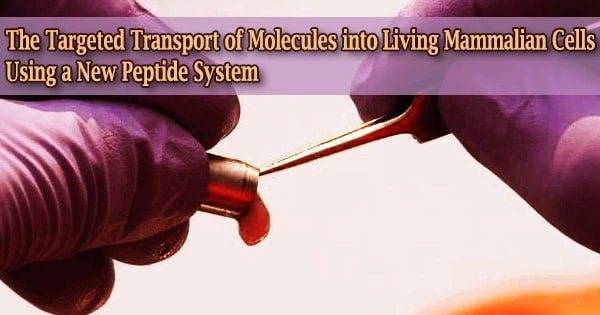 The Targeted Transport of Molecules into Living Mammalian Cells Using a New Peptide System