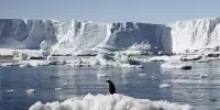 Time is Running out to Save East Antarctica from Climate Change
