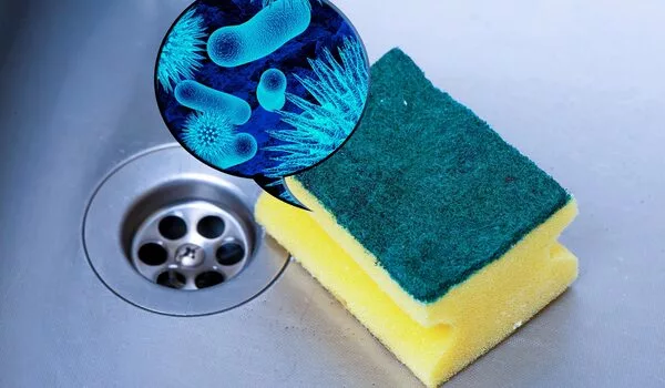 Why-are-Kitchen-Sponges-ideal-Bacteria-Habitats-1