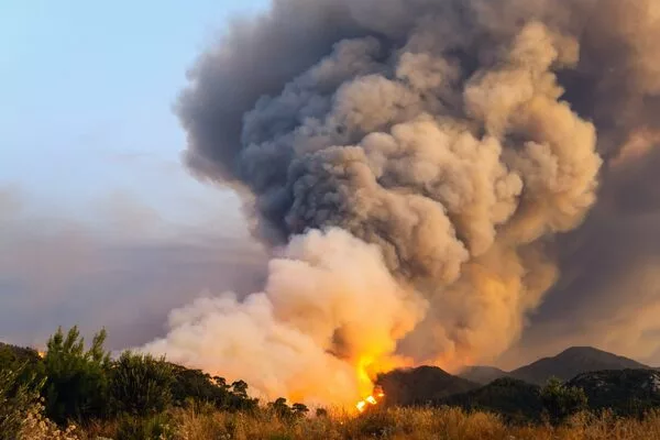 Wildfire-Smoke-has-a-Chemical-Link-to-Ozone-Depletion-1
