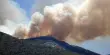 Wildfire Smoke has a Chemical Link to Ozone Depletion