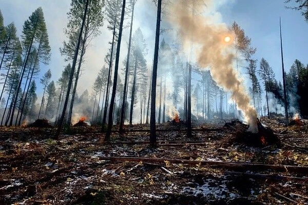Wildfires-Increase-the-Risk-of-Cancer-1