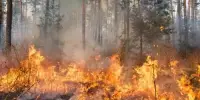 Wildfires Increase the Risk of Cancer