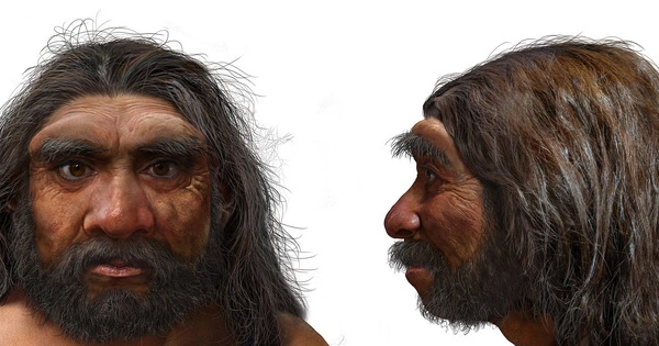 A New Study Sheds Light on the Origins of Human Hair