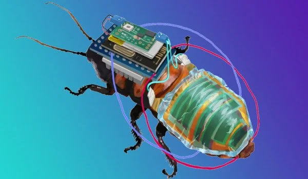 A-Rechargeable-and-Controllable-Robot-Cockroach-1