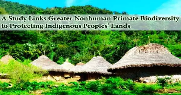 A Study Links Greater Nonhuman Primate Biodiversity to Protecting Indigenous Peoples’ Lands