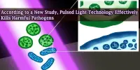 According to a New Study, Pulsed Light Technology Effectively Kills Harmful Pathogens