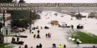 According to a Study, Houston Residents’ Chemical Exposure Increased After Hurricane Harvey