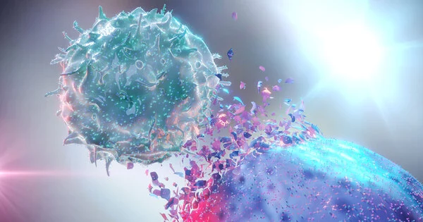 Cancer-fighting Immune Cells are rejuvenated by Cellular ‘Waste Product’