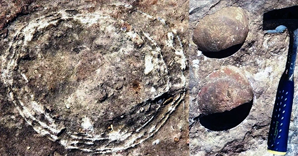Crystal-filled, nearly spherical dinosaur eggs the size of grapefruit were discovered