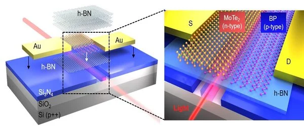 Design-of-a-New-Photodetector-inspired-by-Plant-Photosynthesis-1