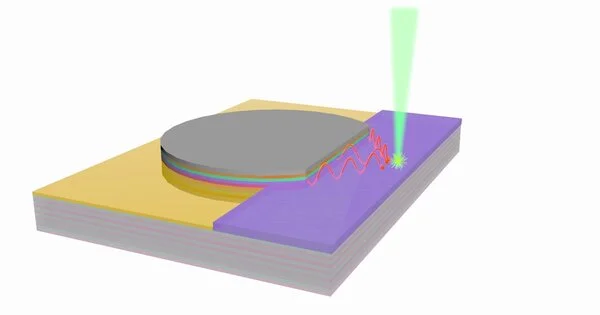 Design of a New Photodetector inspired by Plant Photosynthesis