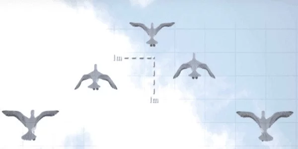 Engineers-are-Researching-Bird-Flight-1