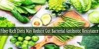 Fiber-Rich Diets May Reduce Gut Bacterial Antibiotic Resistance