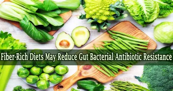 Fiber-Rich Diets May Reduce Gut Bacterial Antibiotic Resistance