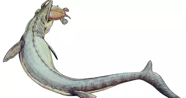 Fossils of a 66 million-year-old Giant Sea Lizard Discovered