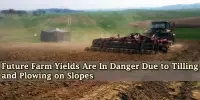 Future Farm Yields Are In Danger Due to Tilling and Plowing on Slopes