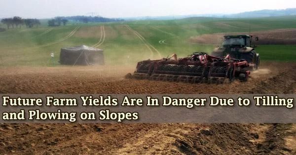Future Farm Yields Are In Danger Due to Tilling and Plowing on Slopes