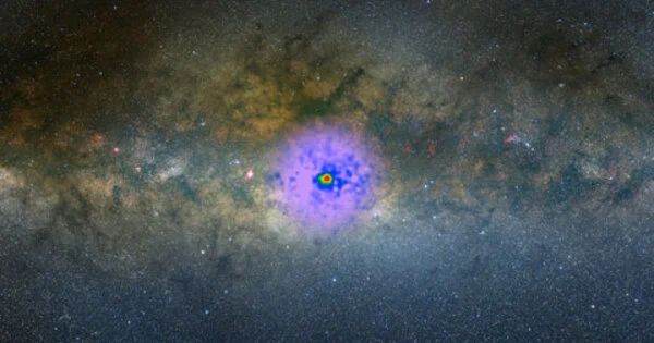 Millisecond Pulsars and Gamma Rays from a nearby Galaxy
