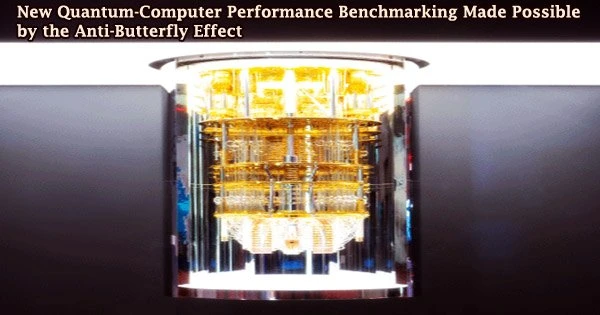 New Quantum-Computer Performance Benchmarking Made Possible by the Anti-Butterfly Effect