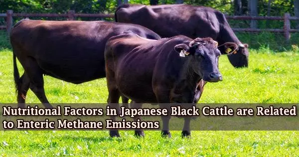 Nutritional Factors in Japanese Black Cattle are Related to Enteric Methane Emissions