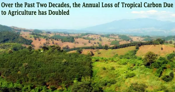 Over the Past Two Decades, the Annual Loss of Tropical Carbon Due to Agriculture has Doubled
