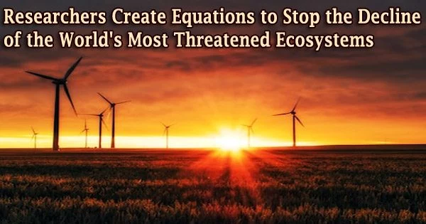 Researchers Create Equations to Stop the Decline of the World’s Most Threatened Ecosystems