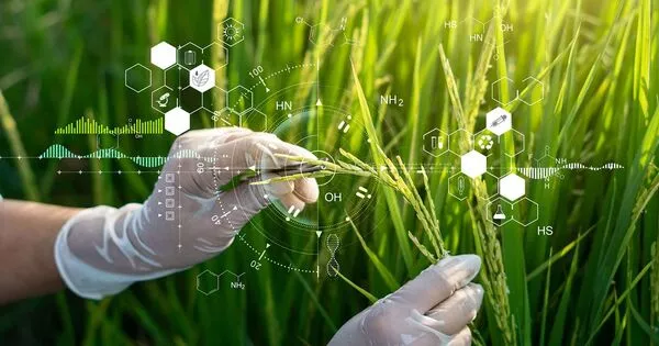 Researchers-Offer-a-New-Approach-to-Controlling-Engineered-Crops-1