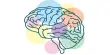 Scientists Identified Brain Region Responsible for Selfless Helping Behavior