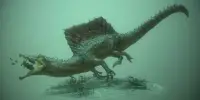 Spinosaurus’s Dense Bones enabled it to Hunt Underwater