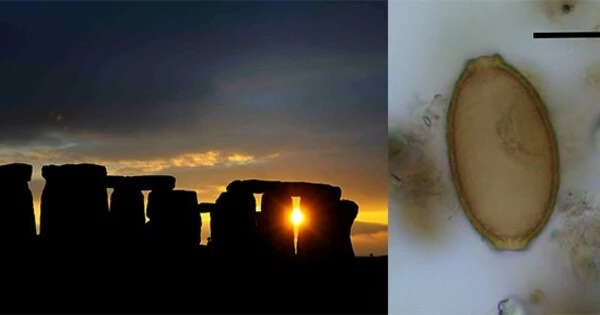 Stonehenge Feasting Parasites are revealed in Prehistoric Feces