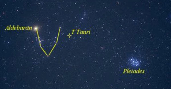 T Tauri – a Variable Star in the Constellation Taurus