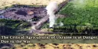 The Critical Agricultural of Ukraine is at Danger Due to the War