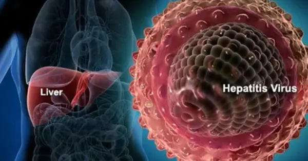 The Immune System’s Deception by Hepatitis E