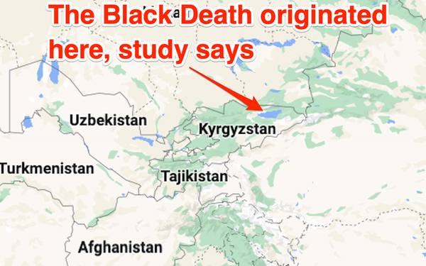 The-Origins-of-the-Black-Death-have-been-Discovered-1